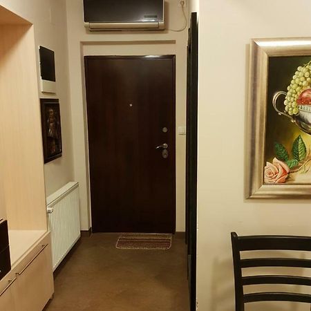 Hulk Apartment Vrsac Bagian luar foto