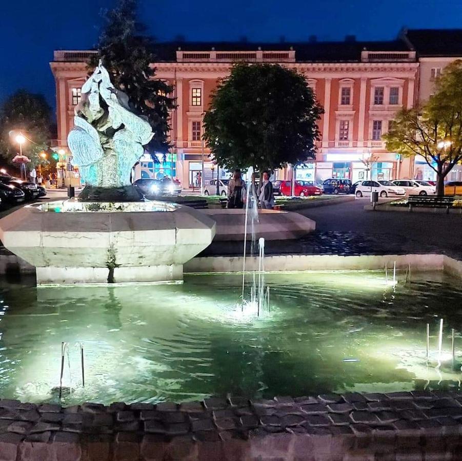 Hulk Apartment Vrsac Bagian luar foto