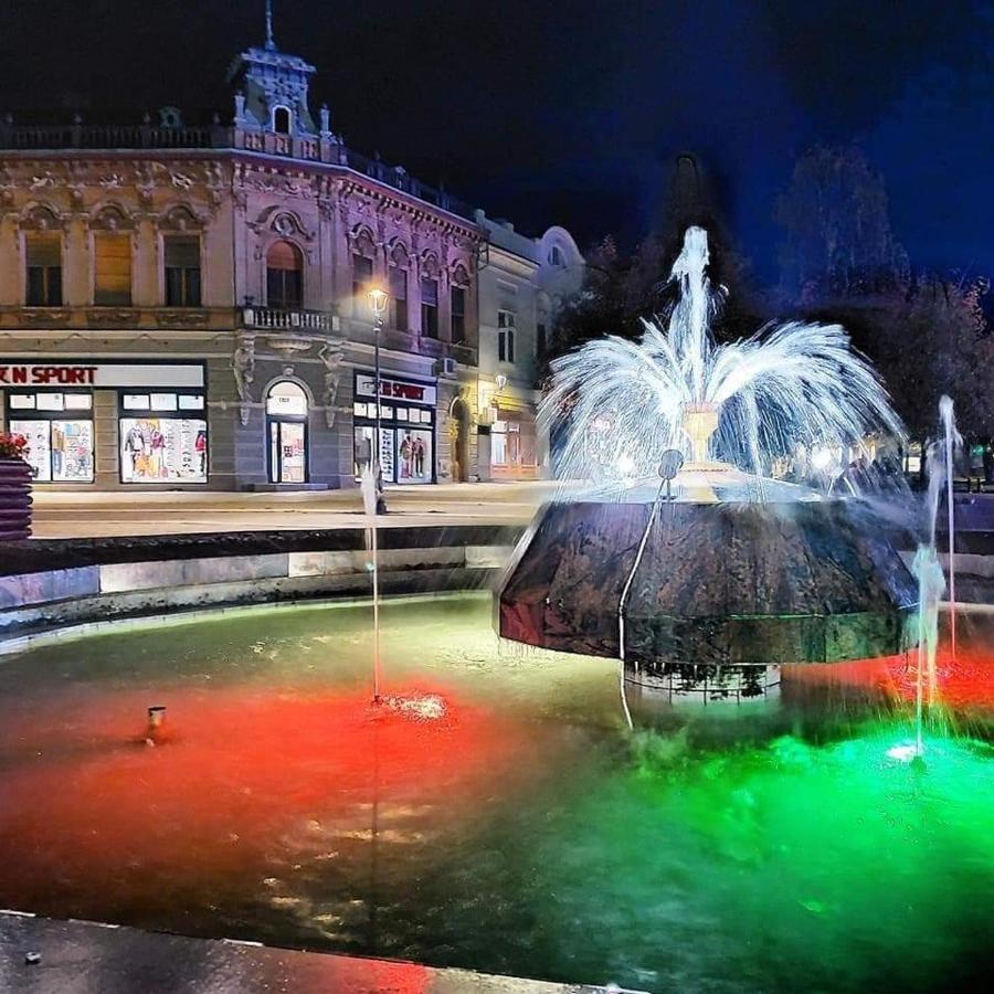 Hulk Apartment Vrsac Bagian luar foto