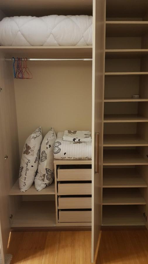 Hulk Apartment Vrsac Bagian luar foto